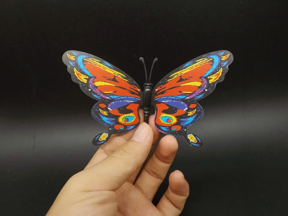 I195-Butterfly (3)