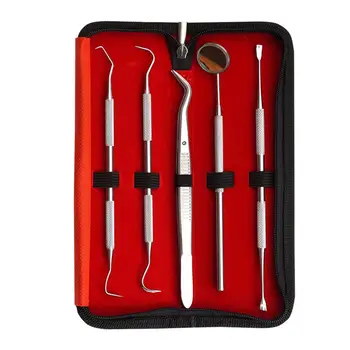 

Litake 4/5 pieces / set Hand tools for tooth Scraper Kit stainless toothpastes dental tools dentist Seek mirror instruments