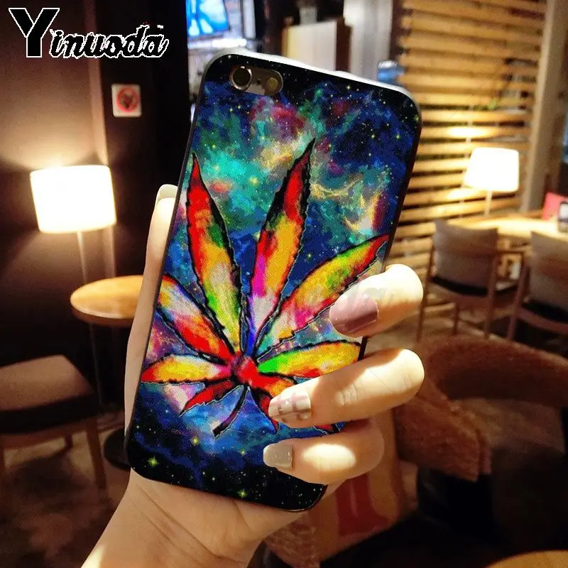 weed plant leaves Cannabis leaf