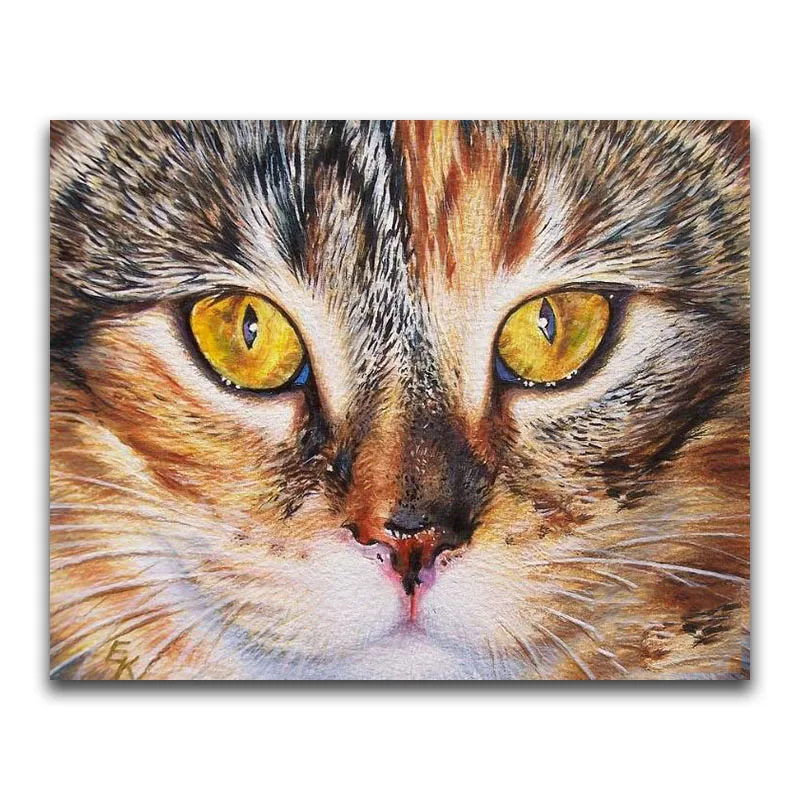 Full Round Diamond embroidery Cross stitch Cartoon sale Full Square Diamond mosaic Animal kitten 5D DIY Diamond painting cat