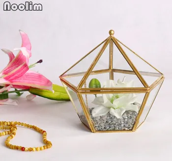 

NOOLIM Polyhedron Clear Glass Geometric Terrarium Vase Tabletop Succulent Plant Micro Landscape Terrarium Geometric Copper Vase