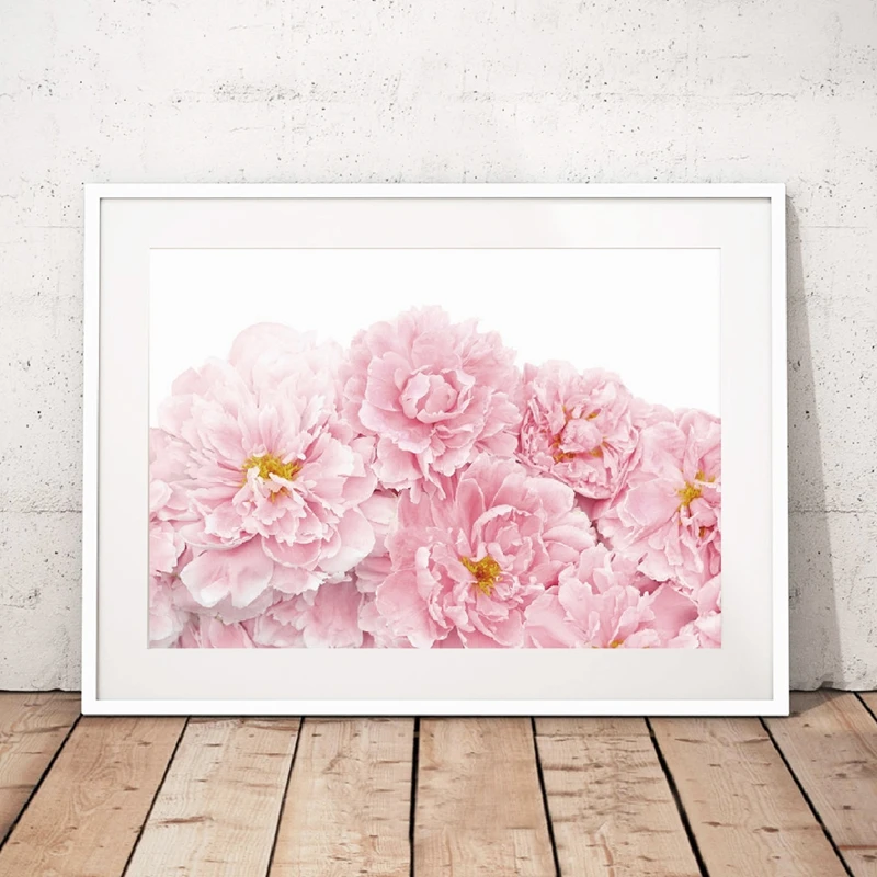 Pink Flower Print Blush Pink Peonies Wall Art Poster Peony Canvas Painting Decor 