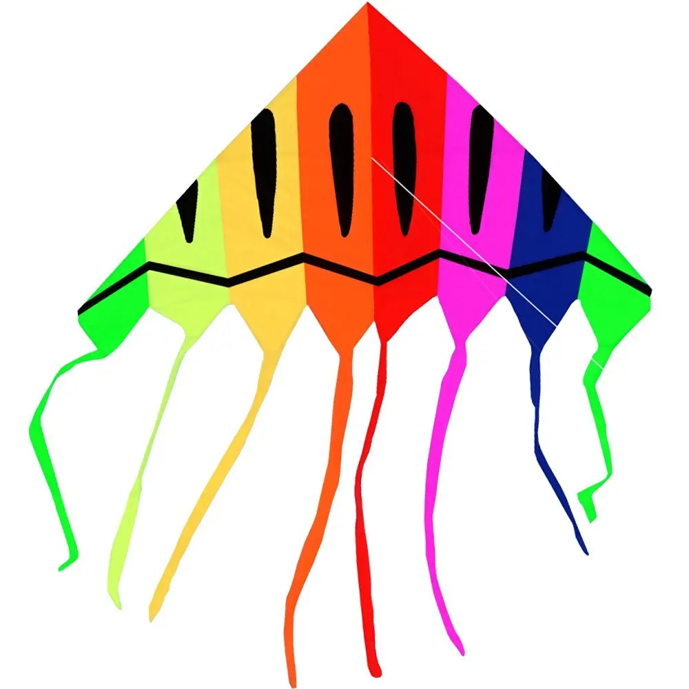 

New High-quality 68-Inch Delta Kite, Good Flying With String and Handle,