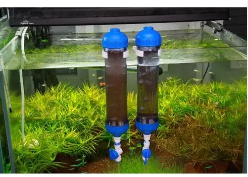 New Hot Sell Brine Shrimp Eggs Incubator Convenient And