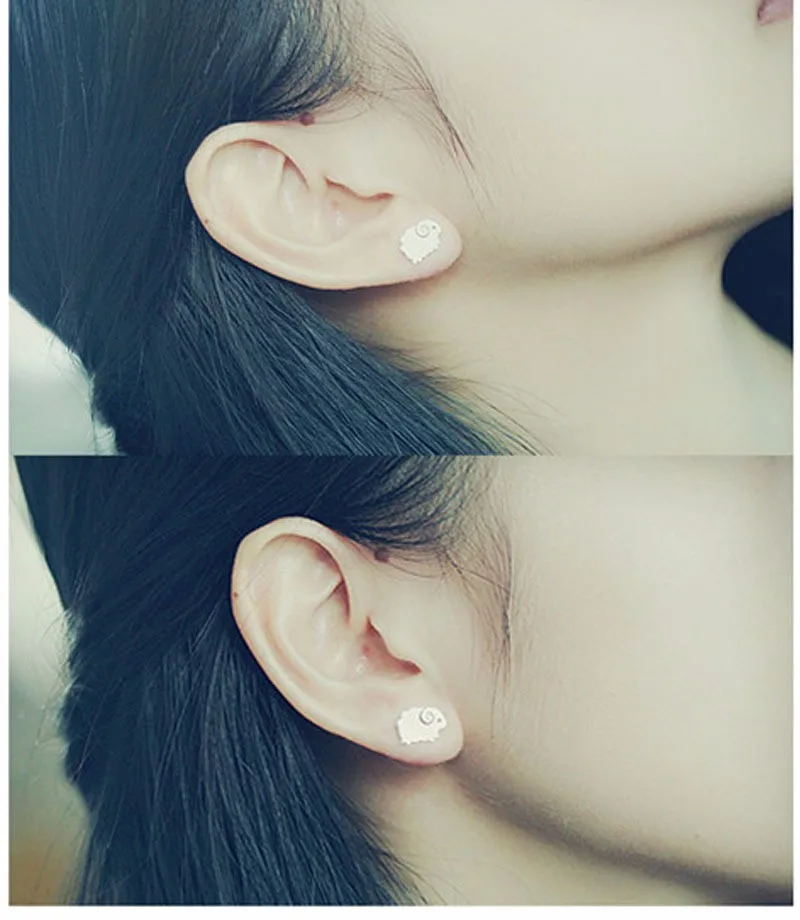 2914956369_1939908985