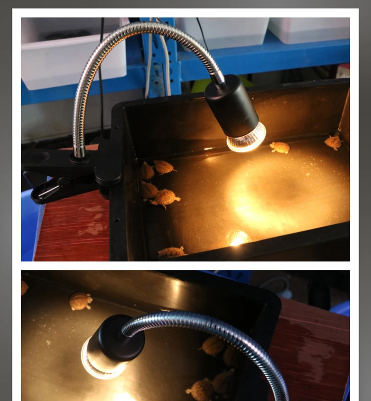 TB2fL4NaNvzQeBjSZPfXXbWGFXa_!!182394301