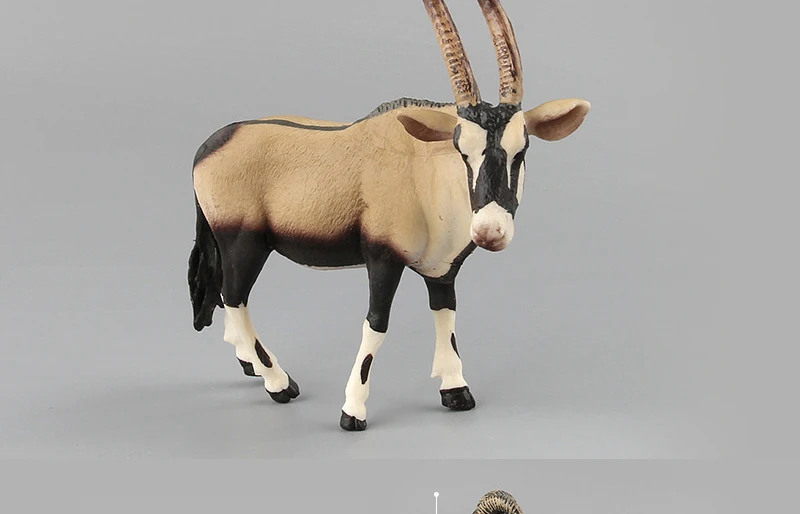 African Wild Animals Toys Antelope Zebra  Cattle Bull Argali Model Action Figures Lifelike Collectible Dolls Figurine Decor Gifts_17