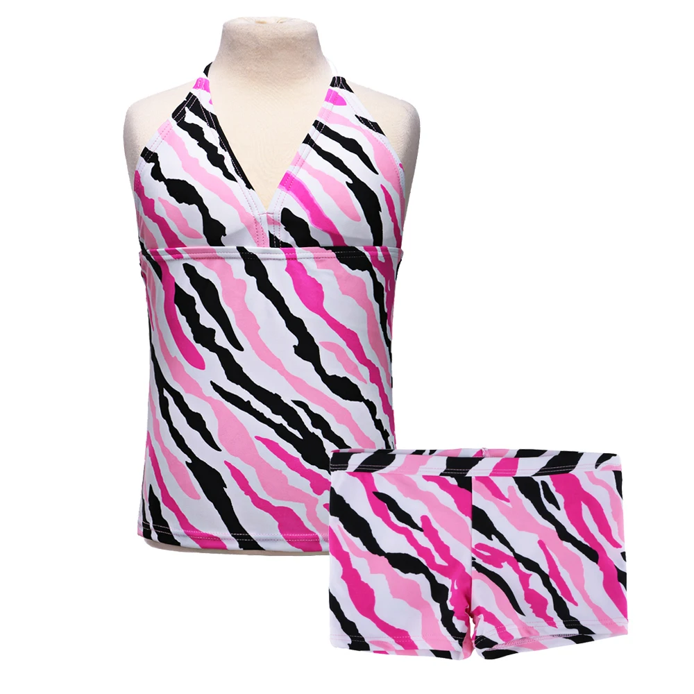 S224_zebra_1