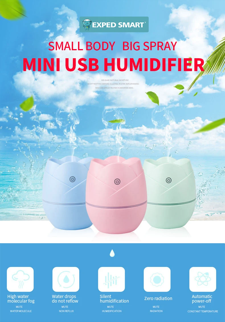 EXPED SMART New rose USB mini air humidifier small car air purifier creative models