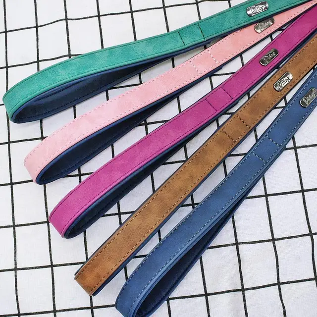 간편하고 편안한 산책을 위한 가죽 리드 하네스