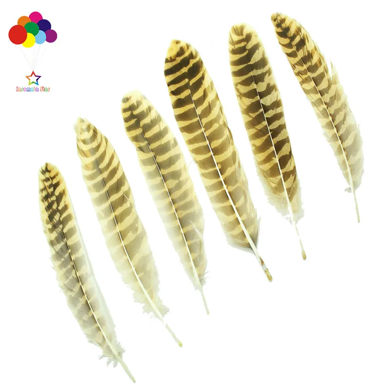 

Z&Q&Y Natural Rare and Precious 50 10-15CM/4-6 Inch Natural Pattern Eagle Feather Collection DIY Decorative Craft Fan Clothing