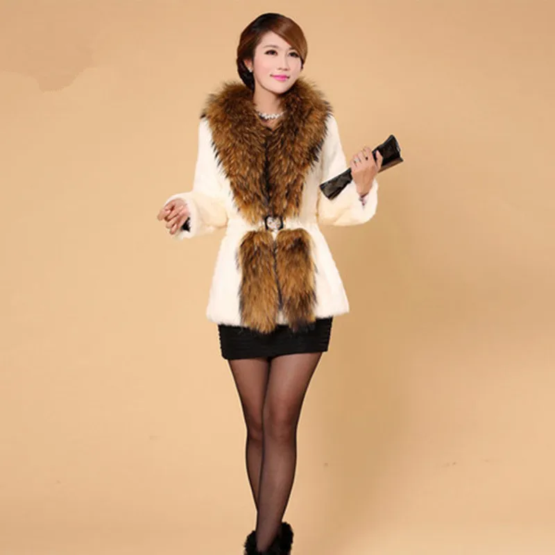 VF0084 (1)