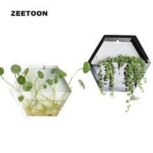 Короткая Современная Шестигранная настенная ваза, настенная подвесная маленькая рыбка, настольный суккулентный гидропонный цветочный горшок, цветочный горшок, домашний декор