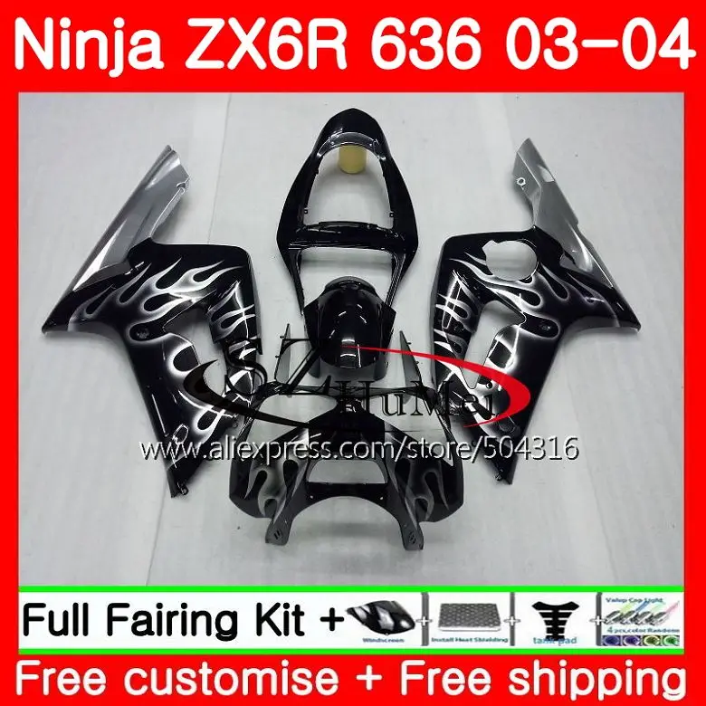 

Body For KAWASAKI NINJA ZX-6R 03-04 ZX-636 ZX600 Silver flames ZX636 10SH5 ZX 636 600CC ZX6R 03 04 ZX 6R 2003 2004 Fairings kit