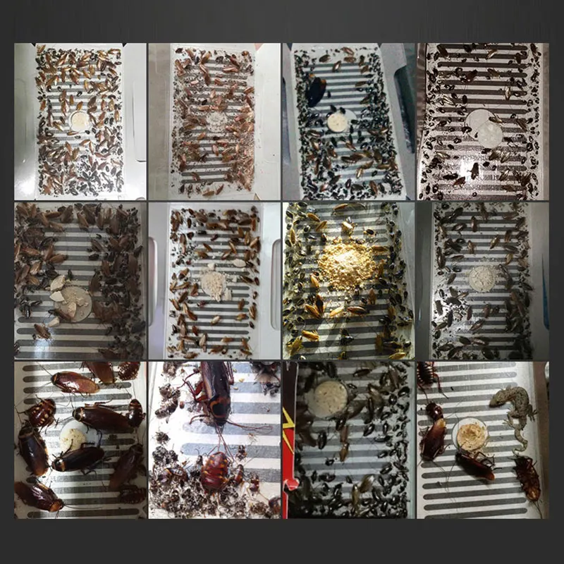 

5pcs/Set Cockroach Trap Repellent Killing Bait Strong Sticky Catcher Traps Home Pest Control Supplies Dropshipping