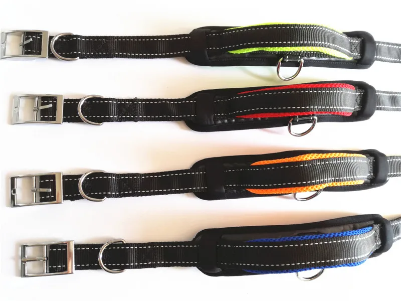Dog Collar and Leash Set (21)