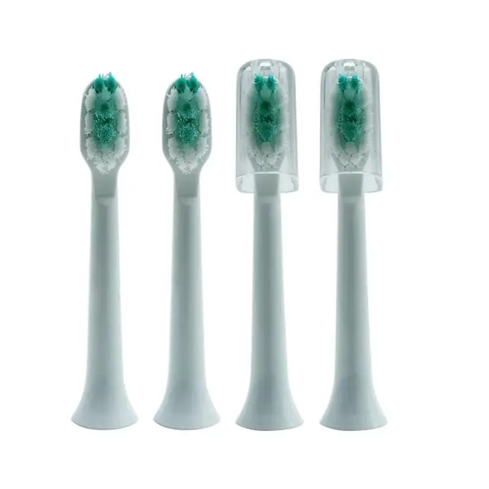 electric teeth bush head 1