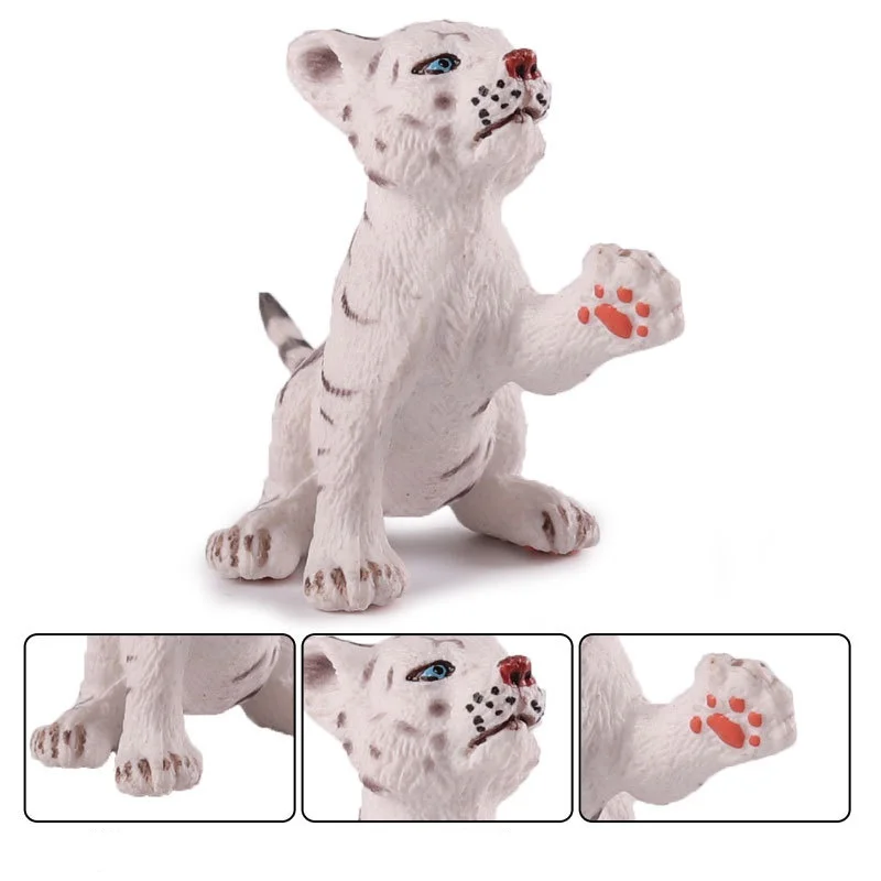 Bengal White Tiger (7)