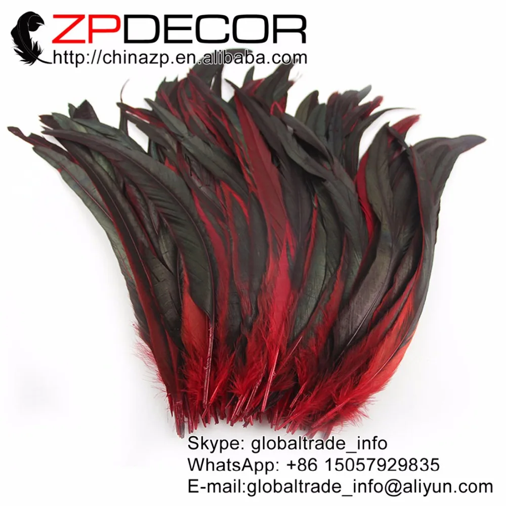 rooster feathers (3)