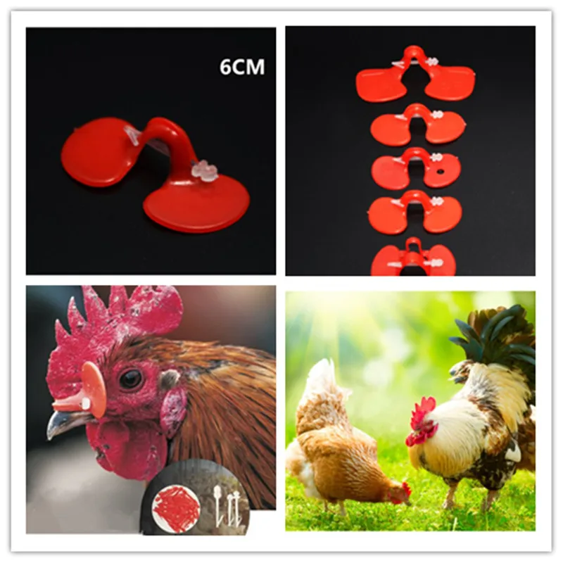 new type chicken glasses for cover chicken eyes