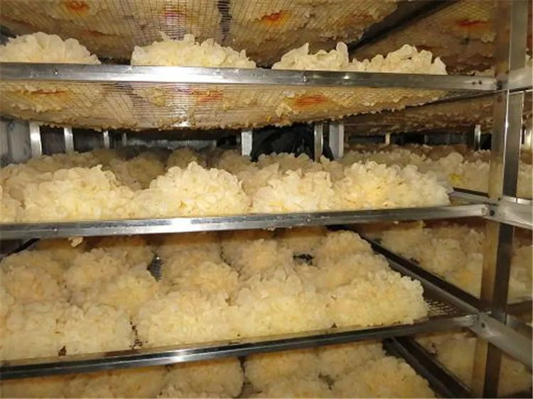 Большая скидка заводская цена морепродукты/фрукты/овощи/зерно лоток для