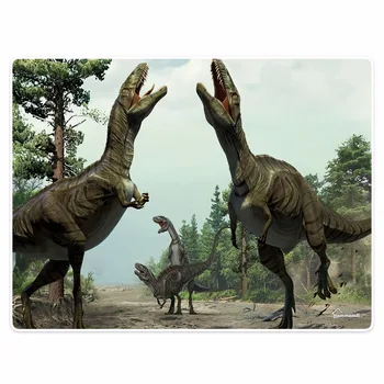 

Blanket Comfort Warmth Soft Plush Easy Care Machine Wash Woods funny dinosaur little dinosaurs Sofa Bed Throw Kid Adult blanket