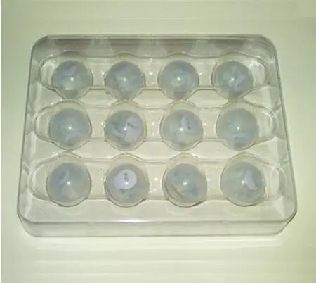 fairy pearls