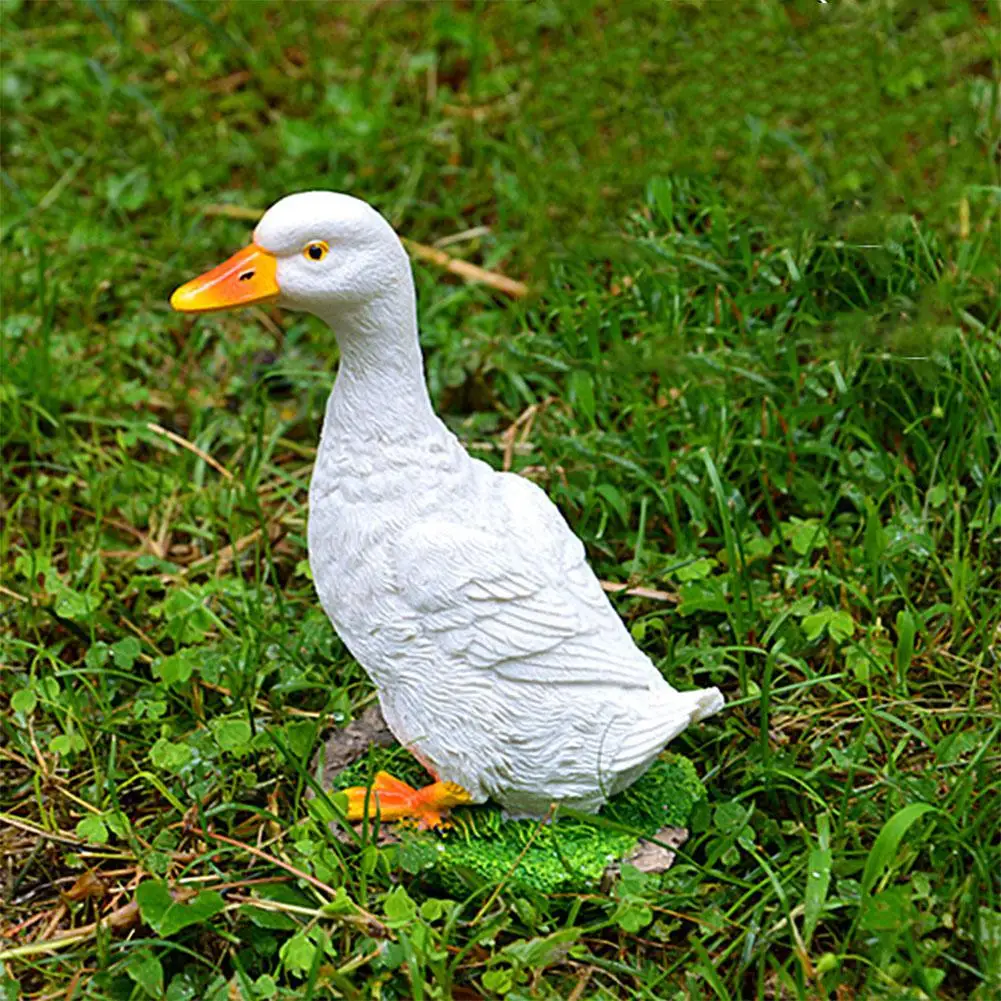 Duck s