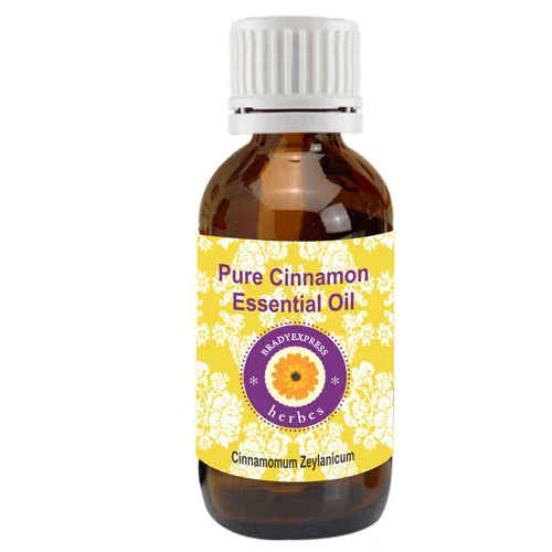 FRee Shipping Pure Cinnamon Essential Oil Cinnamomum zeylanicum 100