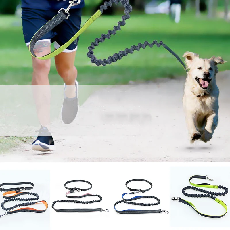 Pet Traction Pet Supplies Nylon Running Belt Dog Dog Traction Rope Dog