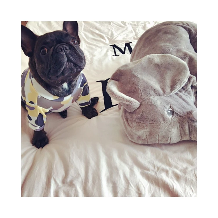 Dogs Clothes (8)