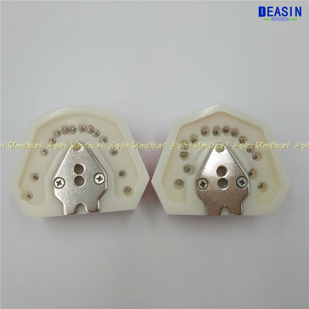Новинка модель для изучения заболеваний Стоматологическая модель|dental periodontics|dental