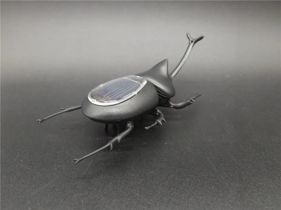 Solar-Uang-Black   (11)