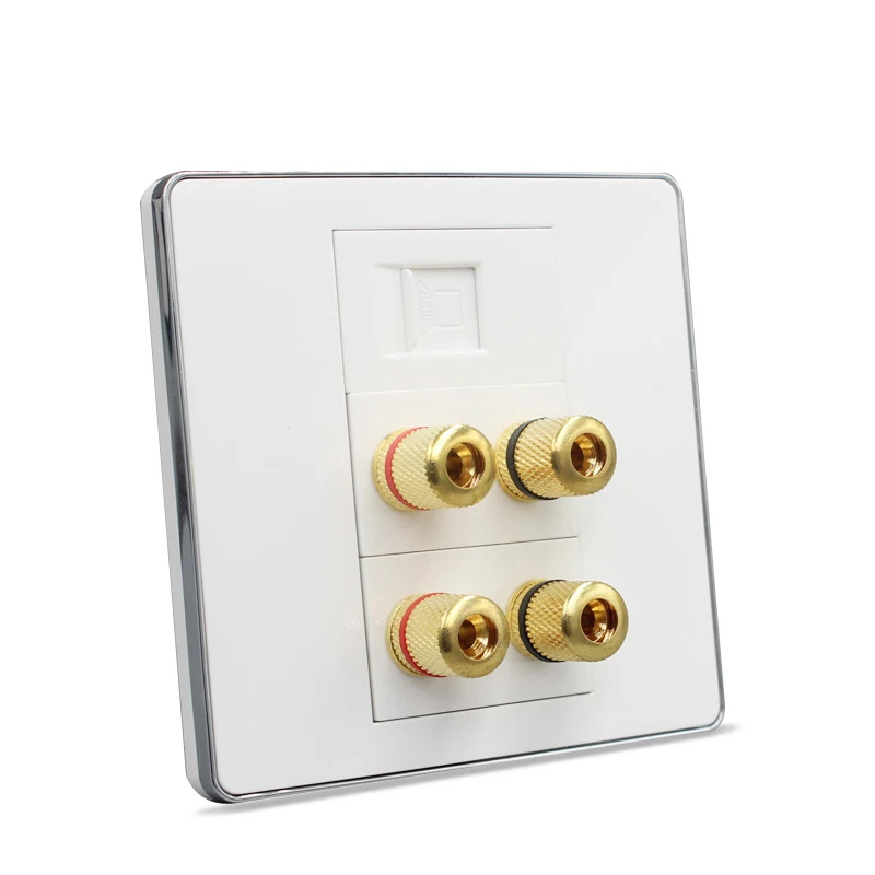 Silver Edge Cat 5e RJ45 + Speaker + Speaker Wall Outlet pic 4