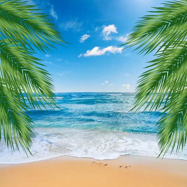 10x10FT Blue Sky Sea Ocean View Palm Tree Sand Beach Wave Custom Photo
