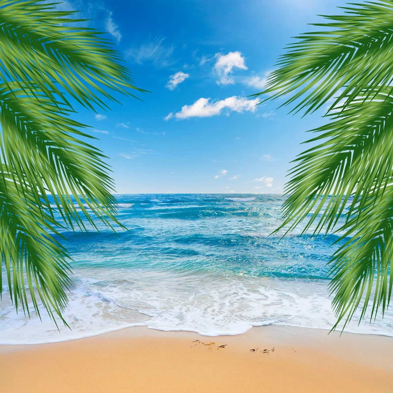HUAYI sea Ocean Palm Leaf Sand Beach Blue Sky White Hawaii Backdrop Seaside Vacation Photography sea Beach Backgrounds Outdoor Wedding Stage Drape Backdrop vinly Fabric US-W-443-5×7ft HUAYI sea Ocean Palm Leaf Sand Beach Blue Sky White Hawaii Backdrop Seaside Vacation Photography sea Beach Backgrounds Outdoor Wedding Stage Drape Backdrop vinly Fabric US-W-443-5×7ft