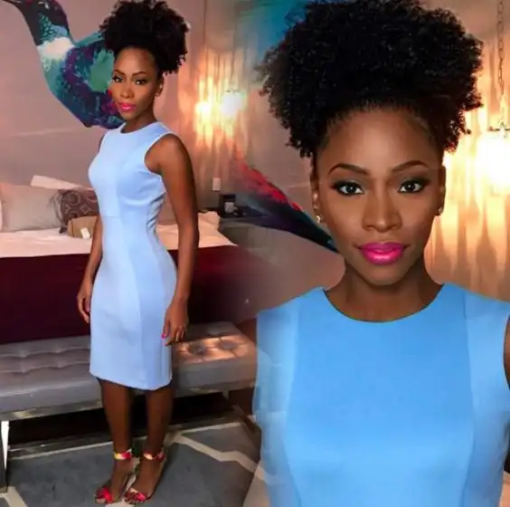 Black Women Short High Natural Hair Puff Clip In Real Hair Afro