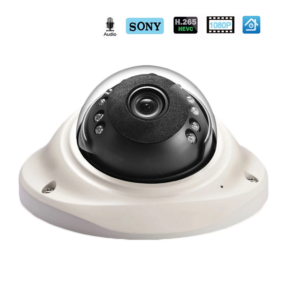 Ip-камера Hamrolte H.265 SONY IMX323 UltraLow illumination 1080P Антивандальная купольная камера Аудио запись обнаружения движения ONVIF