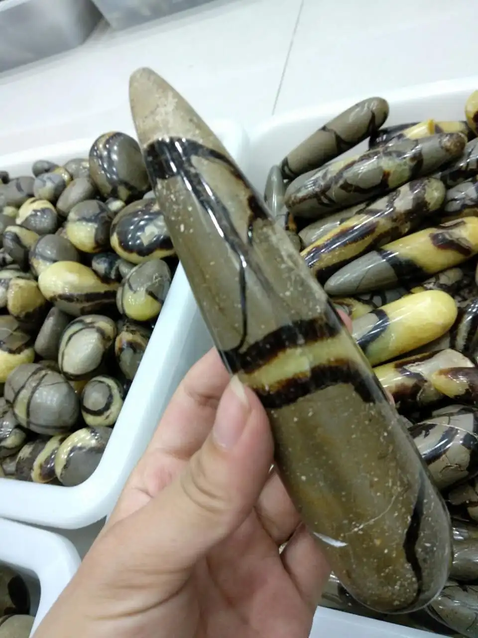 

Natural RARE septarian nodule FOSSIL CRYSTAL Reiki Health Massage Wand Healing