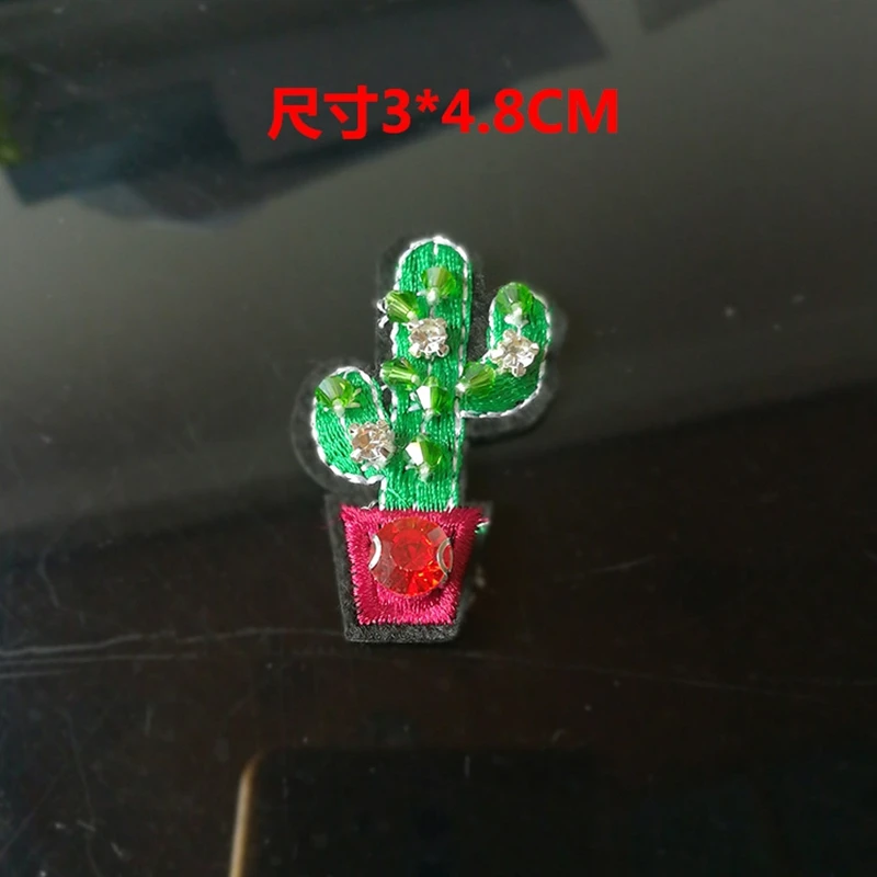 cactus 3