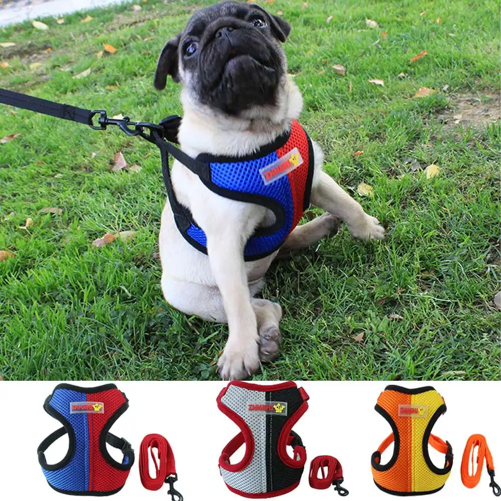 

Fashion Pet Dog Harness Vest with Leash Set Colorful Nylon Mesh Cat Vest Harness For Small Medium Dog Puppy Chihuahua Lead Walki