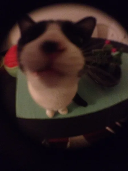 UT8Pw1vXGlbXXagOFbXL