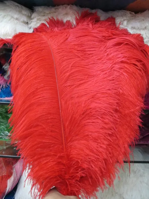 

Wholesale perfect 50pcs high quality natural ostrich feathers 12-14inch/30-35cm Decorative diy red wedding