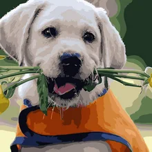 Frameless painting by numbers paint by number for home decor PBN for living room 4050 dog with yellow rose