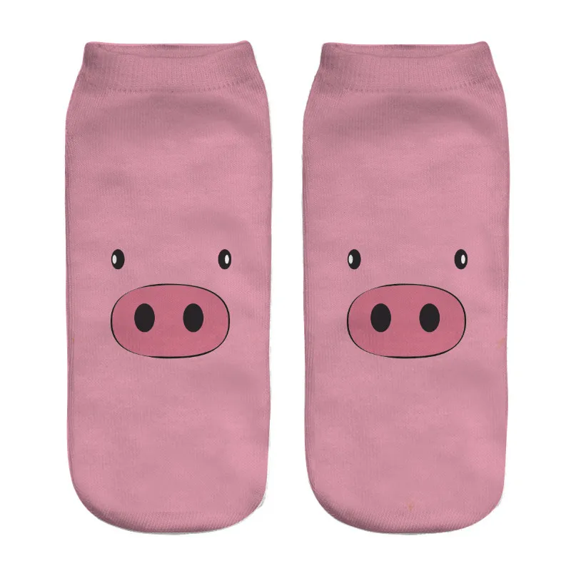pig_05