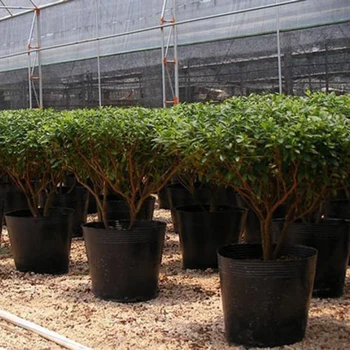 

100* Round Nursery Pots Black Plastic Plants Pots Flowerpot Seedlings Containers