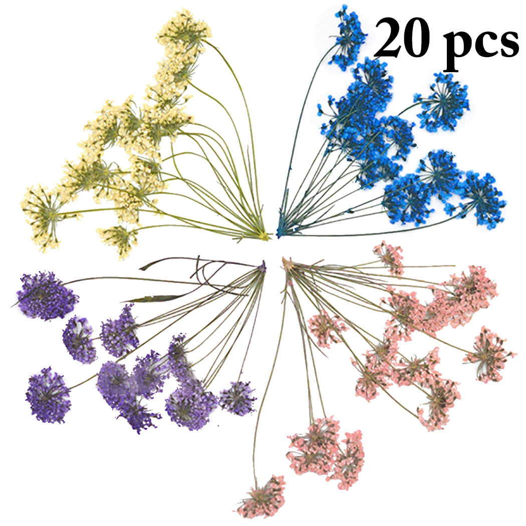 

20PCS Dried Flower Mini Handmade Flower Dry Flower DIY Supplies For Resin Crafts Natural Bouquet Sample Home DIY Decoration