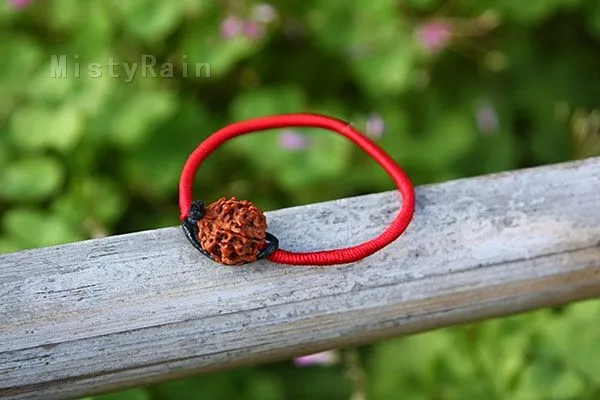pic_wen (3)