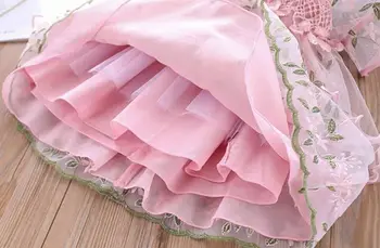 

Roimyal Wholesale 2019 New Fashion 2 Color Fine Embroidery Dress toddler kids Lovely Nets Short Sleeved Princess dress