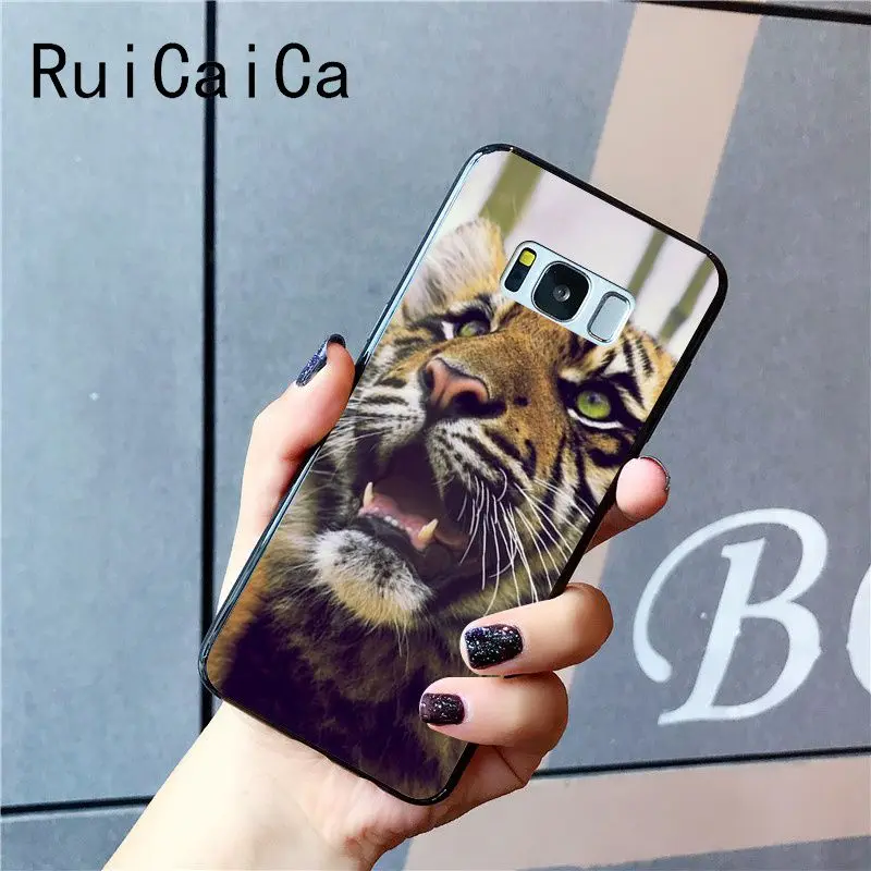 tiger fashion